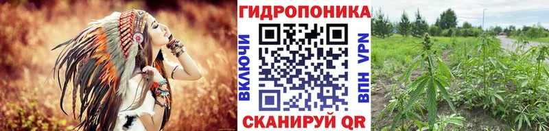 Каннабис Ganja  Горняк 